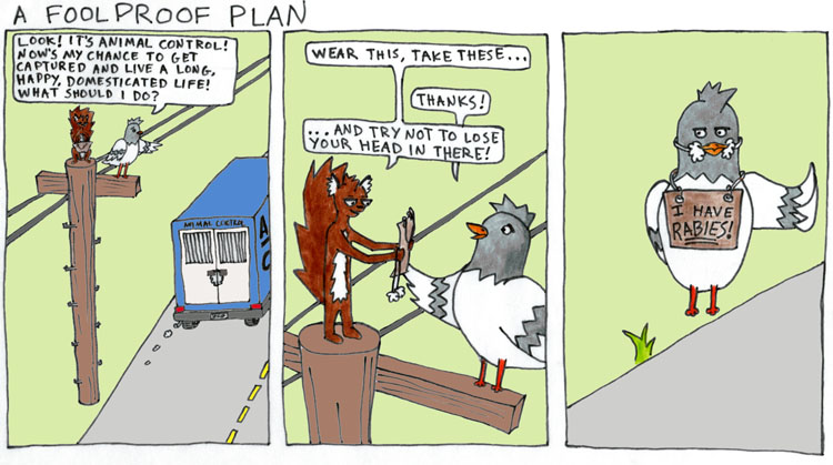 A Foolproof Plan